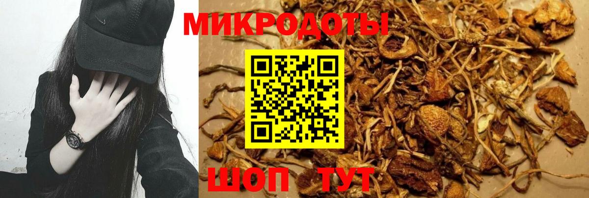 Галлюциногенные грибы Magic Shrooms Новошахтинск